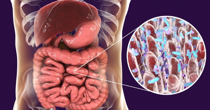 Tu microbiota influye en tu inflamación, energía y digestión