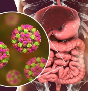 Hábitos para una buena microbiota intestinal